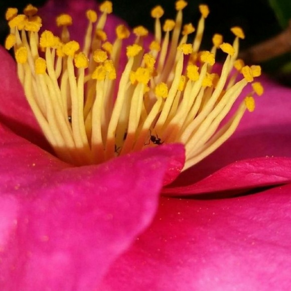 Meet your Posher, Shaun - Picture 1 of 1